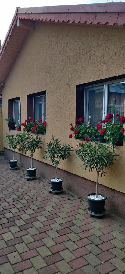 Apartament Cazare Buzău Zewnętrze zdjęcie